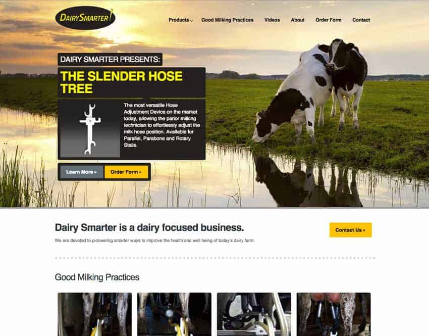Website Launch: Dairy Smarter