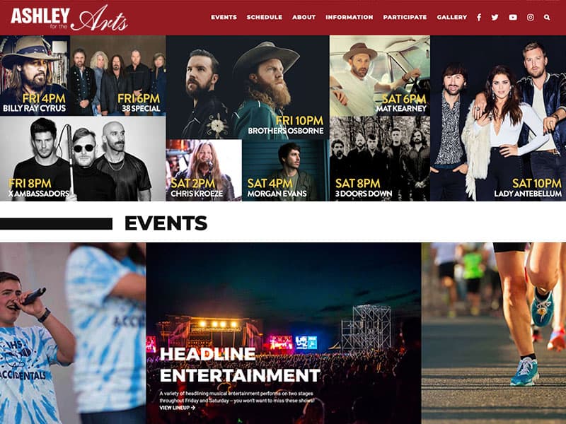 Music Festival Website Designs