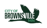 Custom Logo Design - City of Brownsville