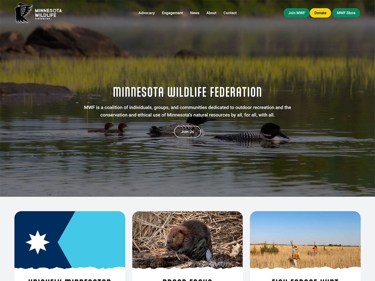 mn conservation federation website screenshot 2026