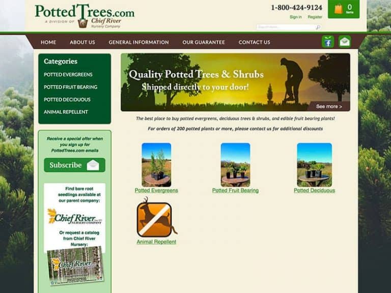 Landscaping site Design Potted Trees