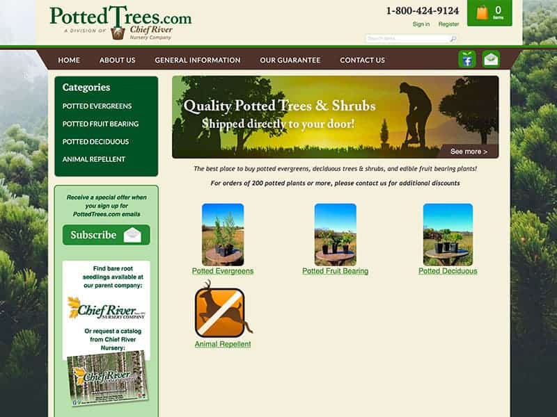 Website Launch: Potted Trees